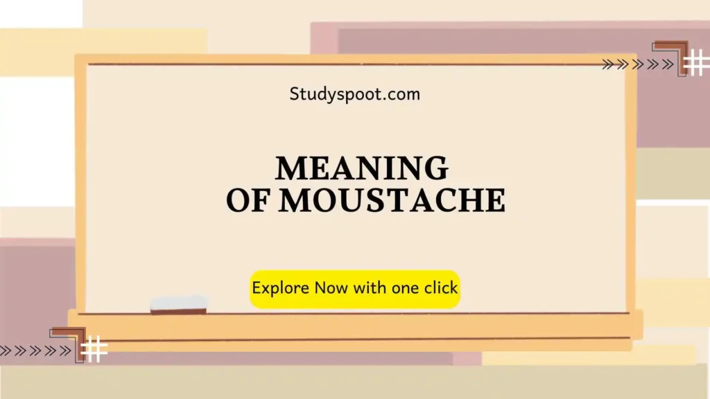 Meaning of Moustache