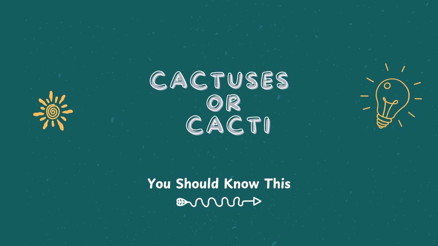 cactuses or cacti