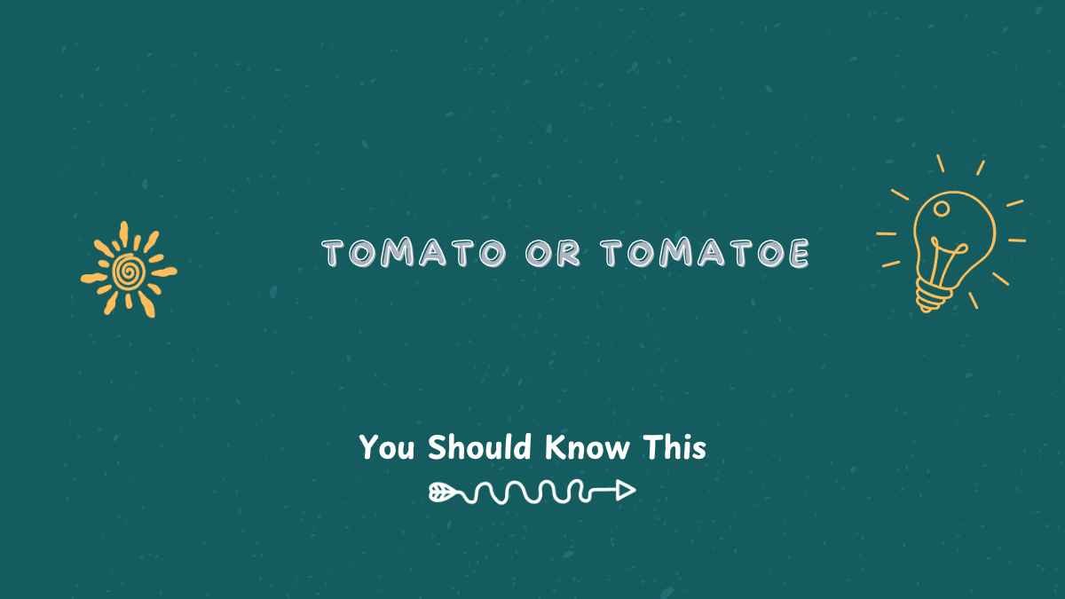 tomato or tomatoe